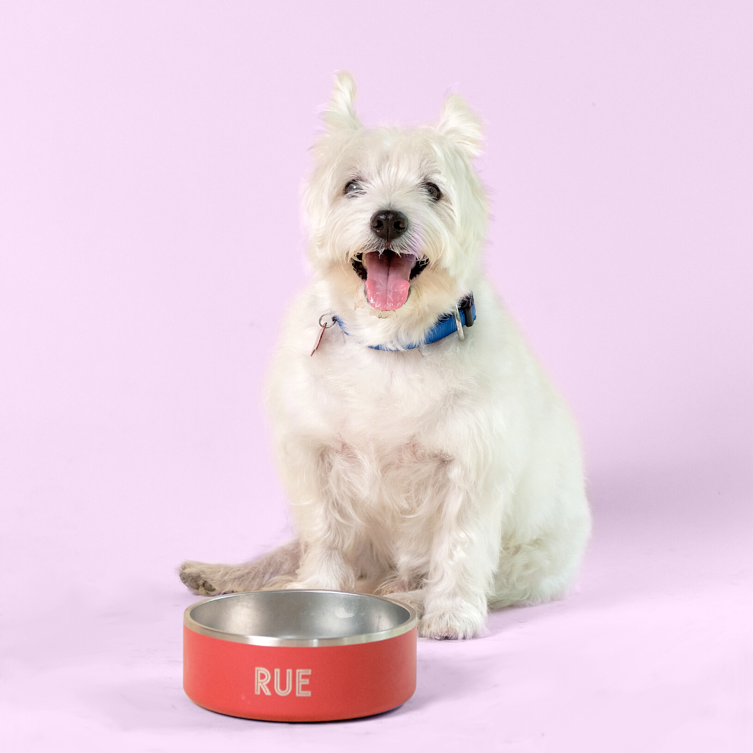 Red - Ollie Bowl (32oz)