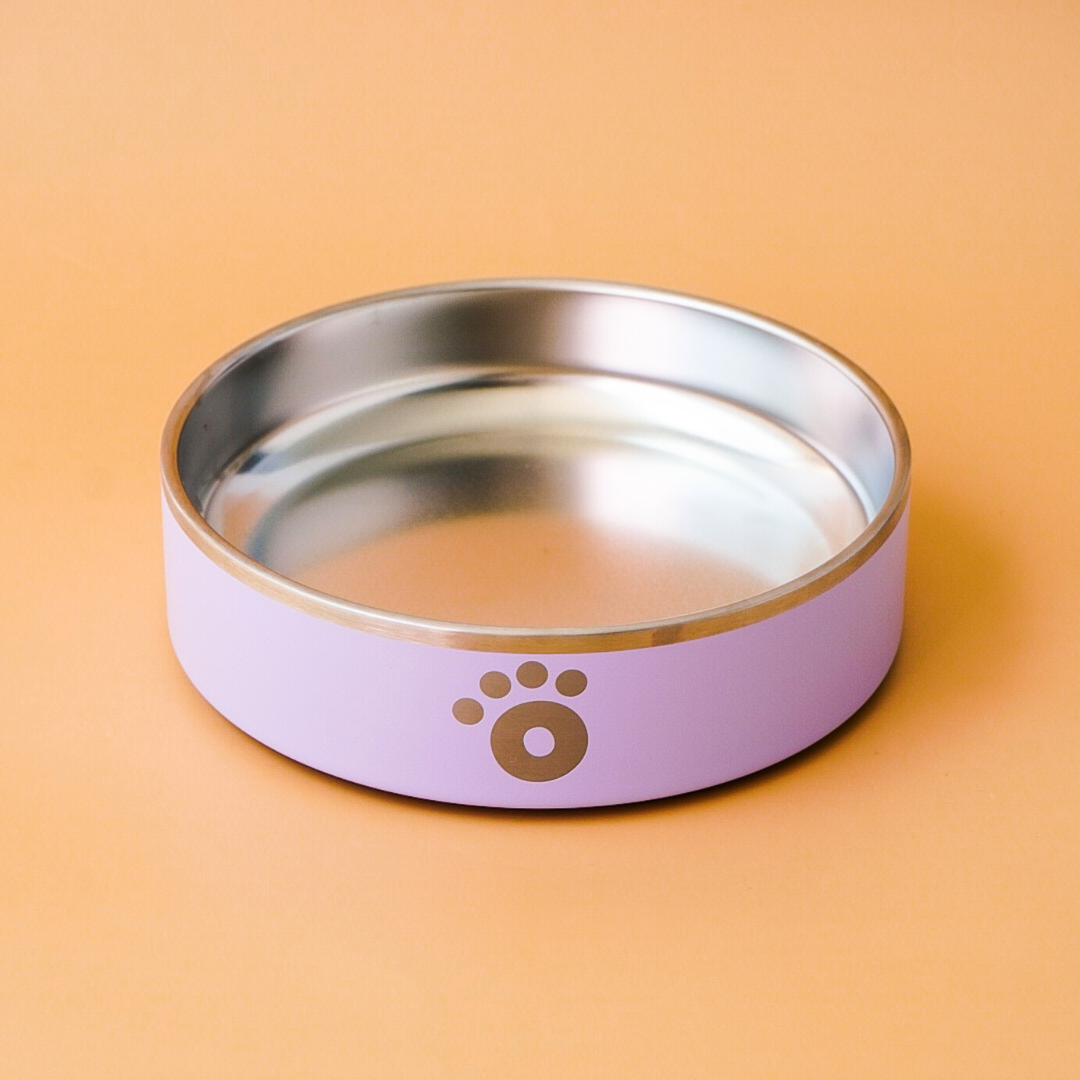 Lilac - Ollie Bowl Mini (24oz)