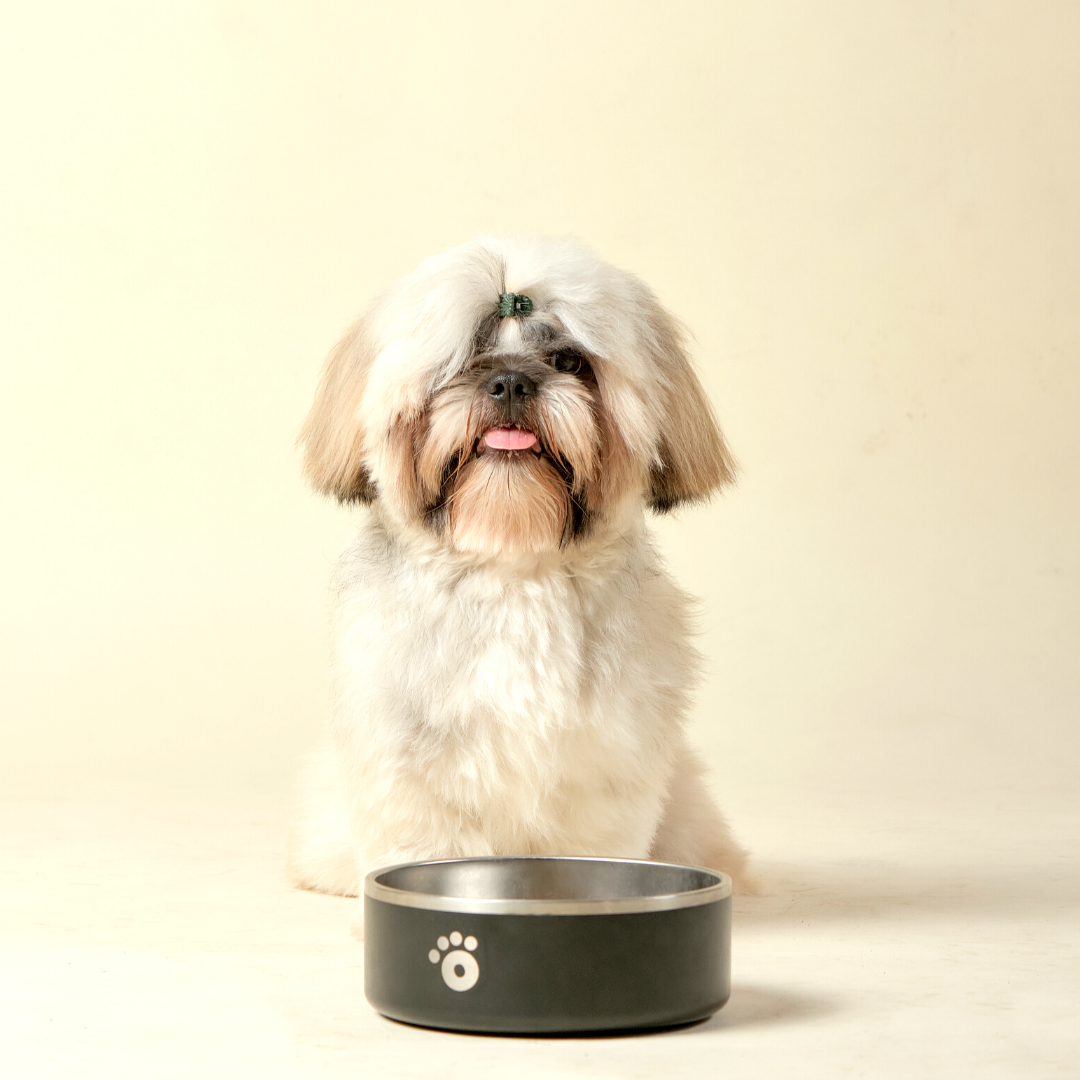 Black - Ollie Bowl (32oz)