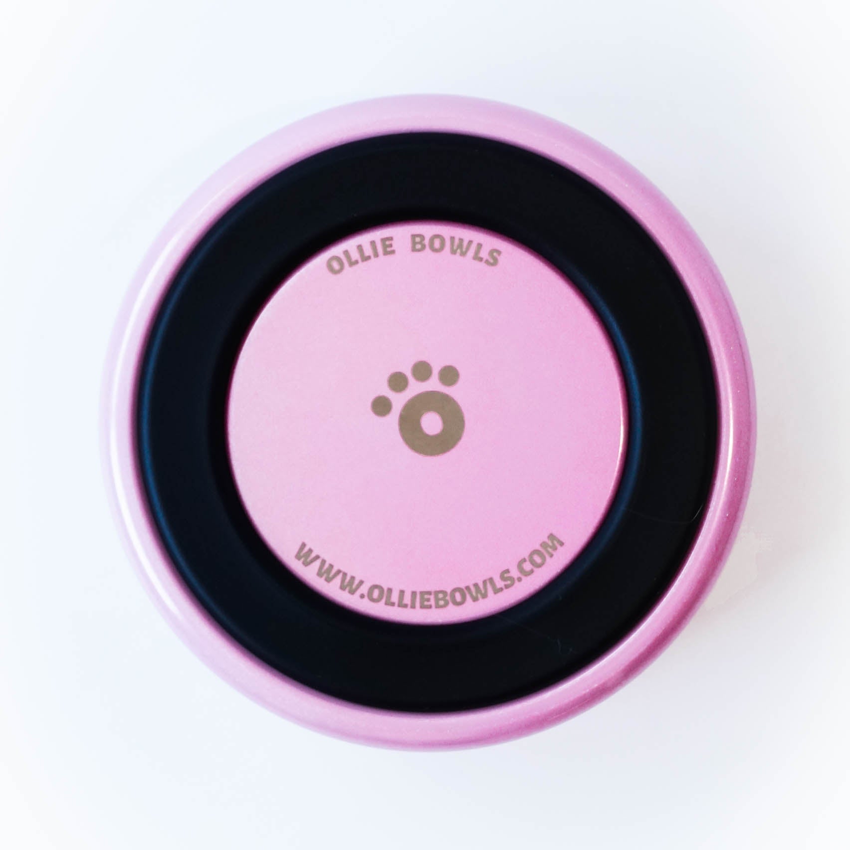 Champagne Pink - Ollie Bowl (32oz)