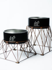 Bowhouse x Ollie Bowls: Geopetric Stand