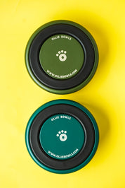 Teal - Ollie Bowl (32oz)
