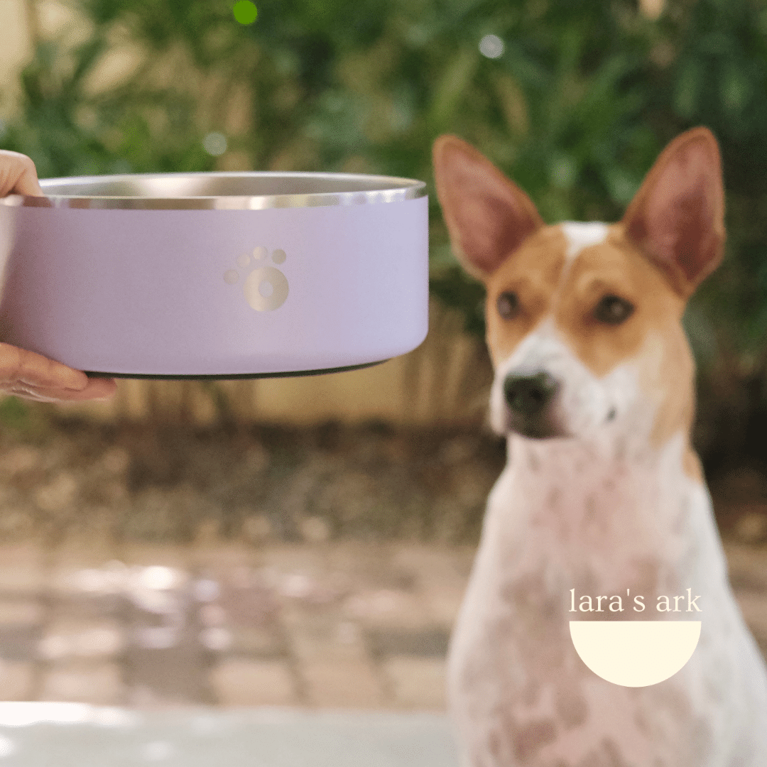 Lilac - Ollie Bowl (32oz)
