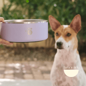 Lilac - Ollie Bowl (32oz)
