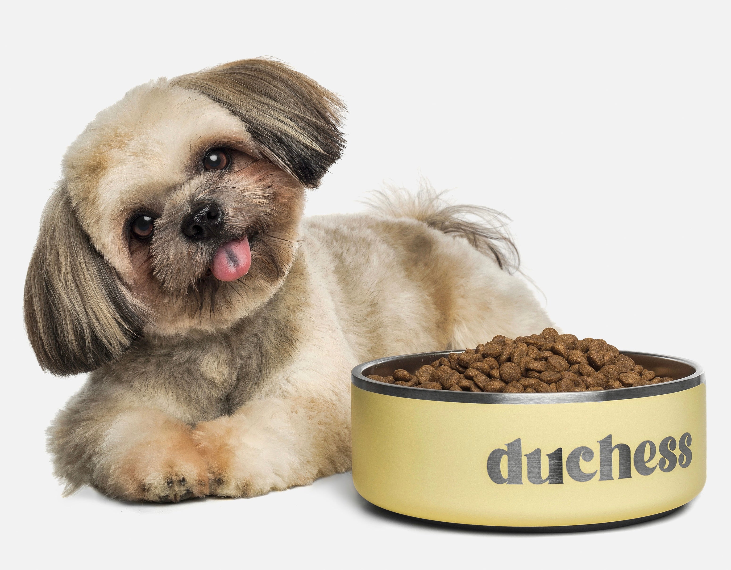 OllieBowls185482.jpg