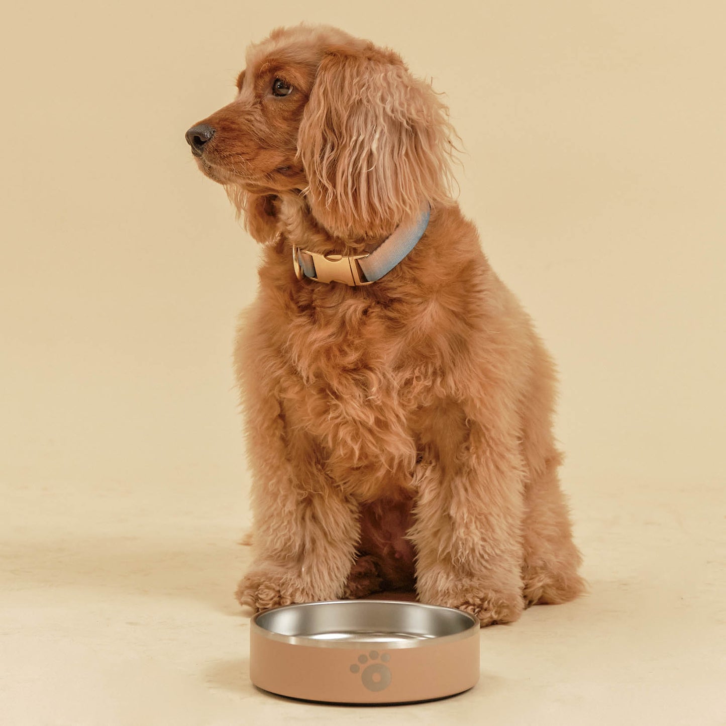 Tan - Ollie Bowl Mini (24oz)