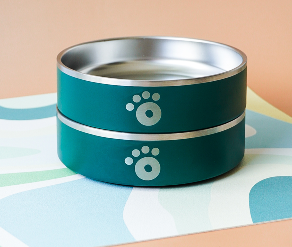 Teal - Ollie Bowl Mini (24oz)