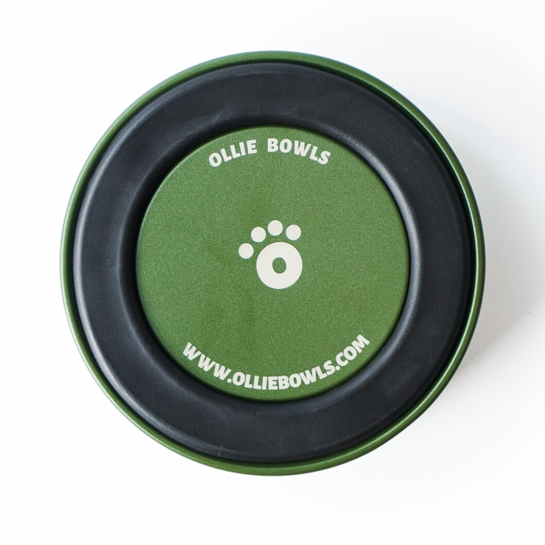 Forest Green - Ollie Bowl Mini (24oz)