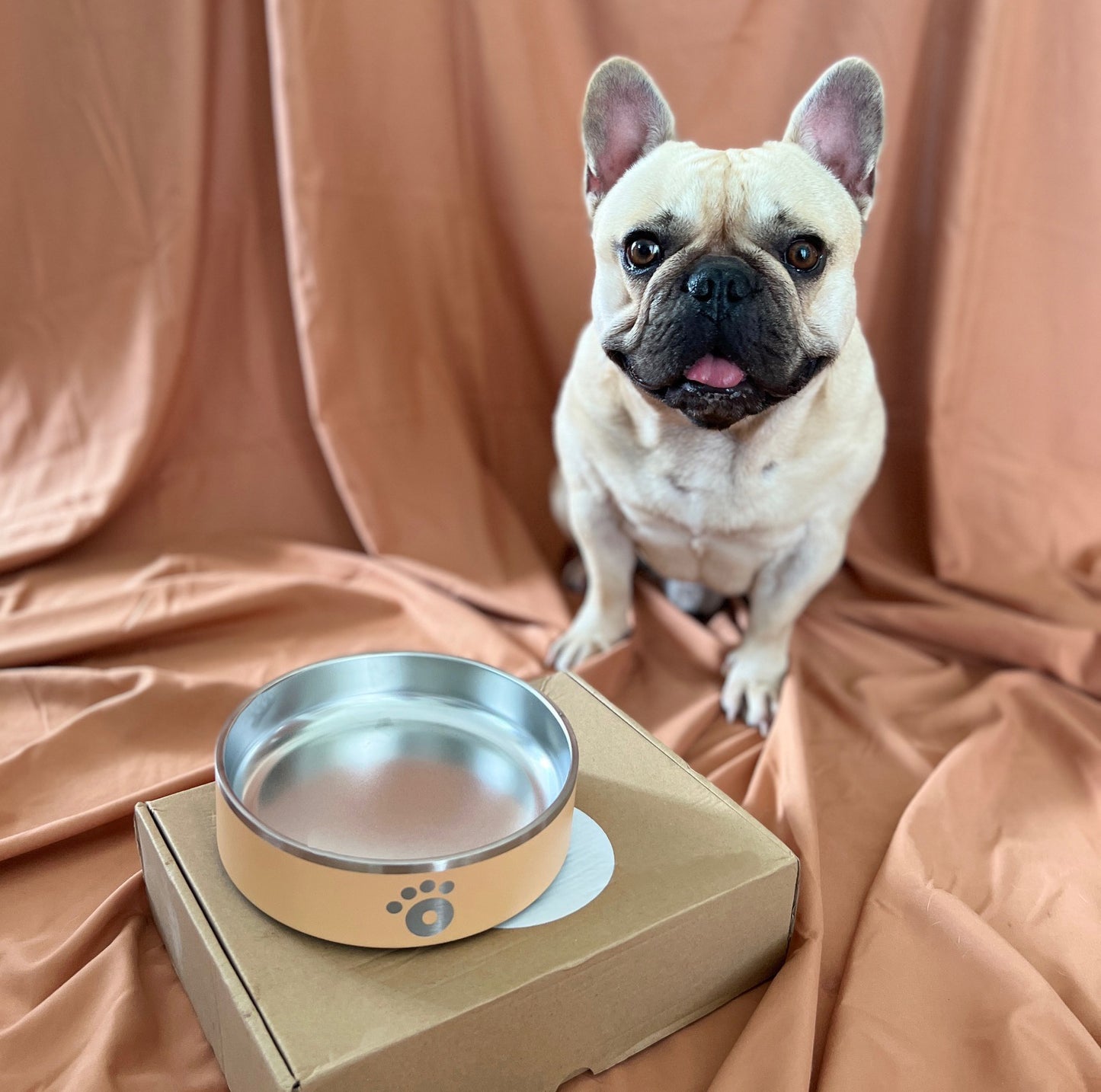 Pastel Peach - Ollie Bowl Mini (24oz)