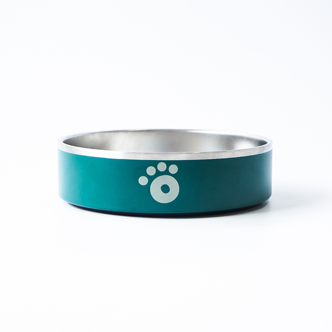 Teal - Ollie Bowl Mini (24oz)