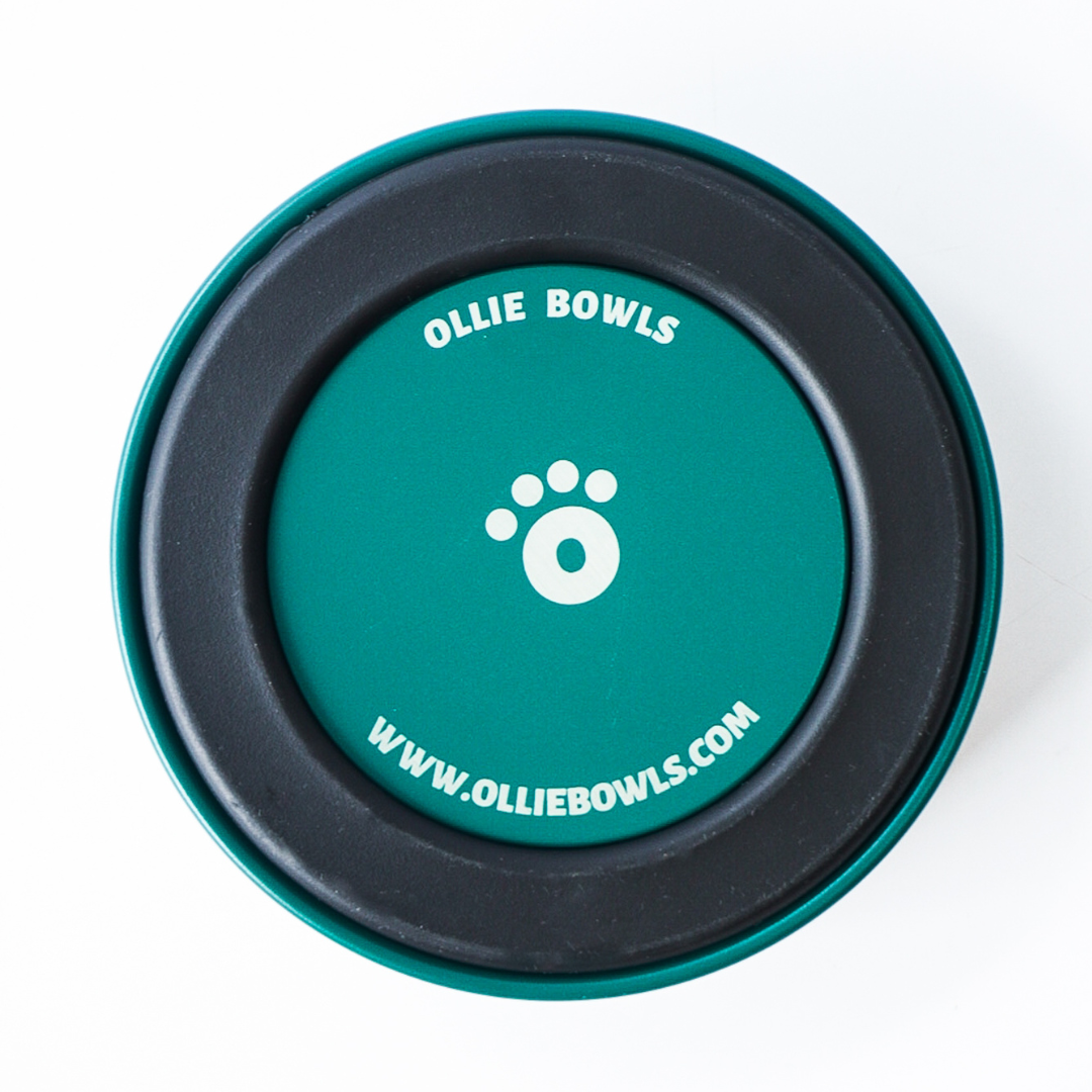 Teal - Ollie Bowl Mini (24oz)
