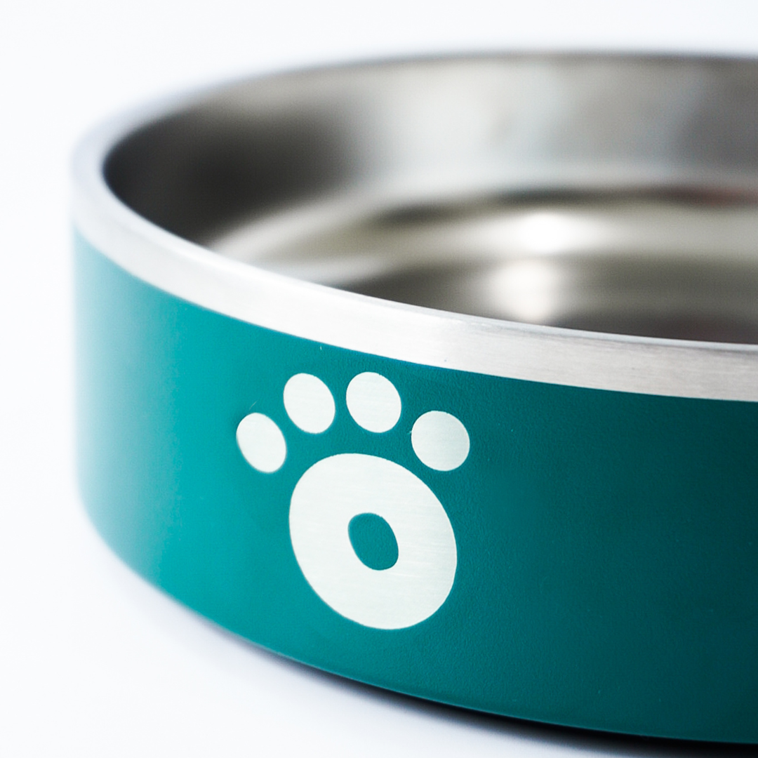 Teal - Ollie Bowl Mini (24oz)
