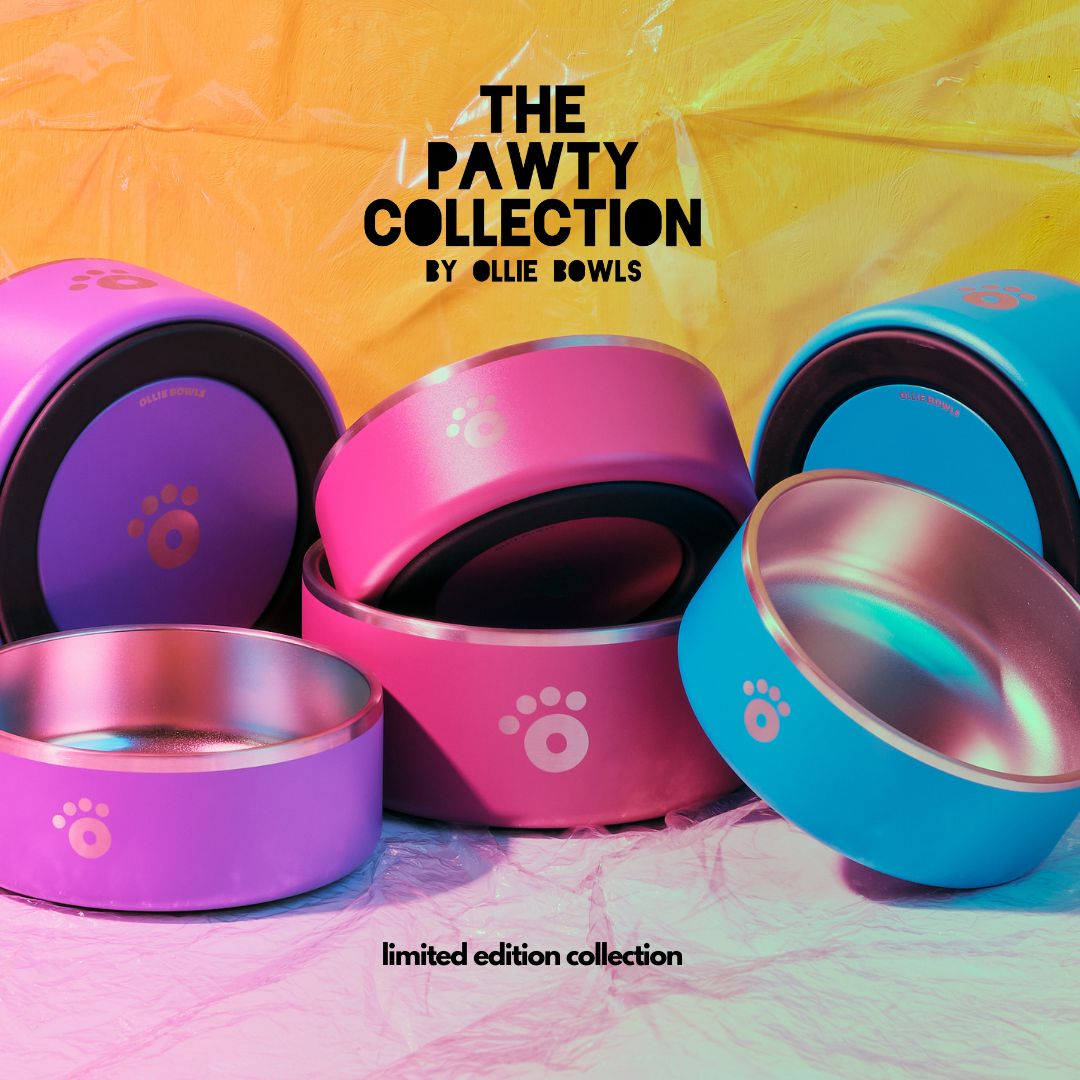Pawty Collection