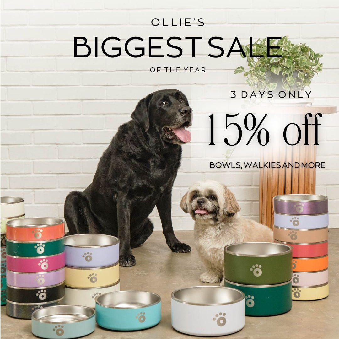 Biggest Sale of the Year