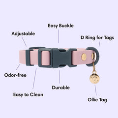 Choose your Ollie Walkies: Classic - Collars