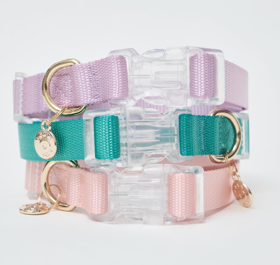 Ollie Walkies: Aero Paw - Collars – Ollie Bowls
