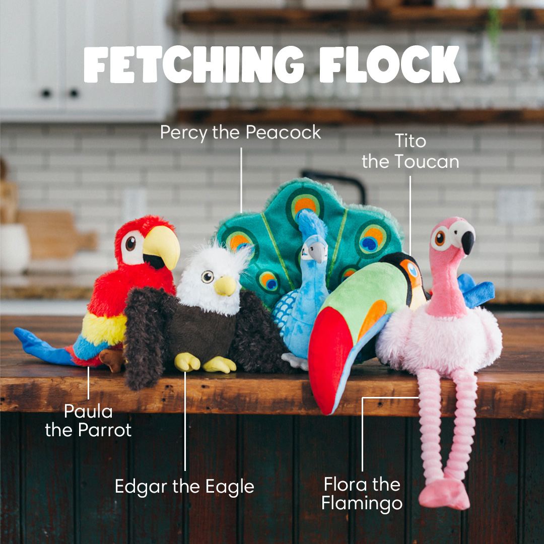 Fetching Flock Collection