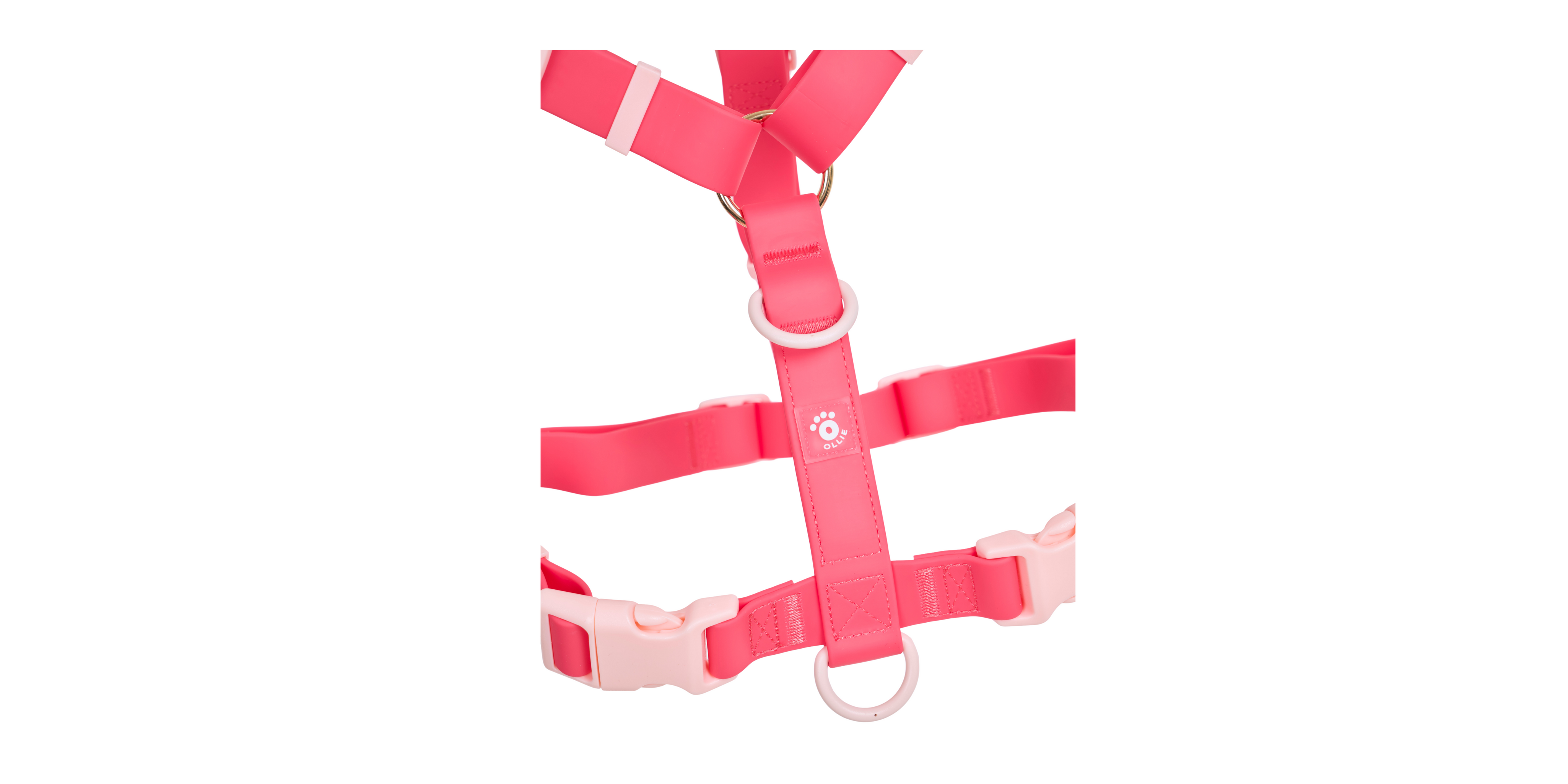 10_112da59b-61fe-416c-be8a-4d3b5595ce97.png