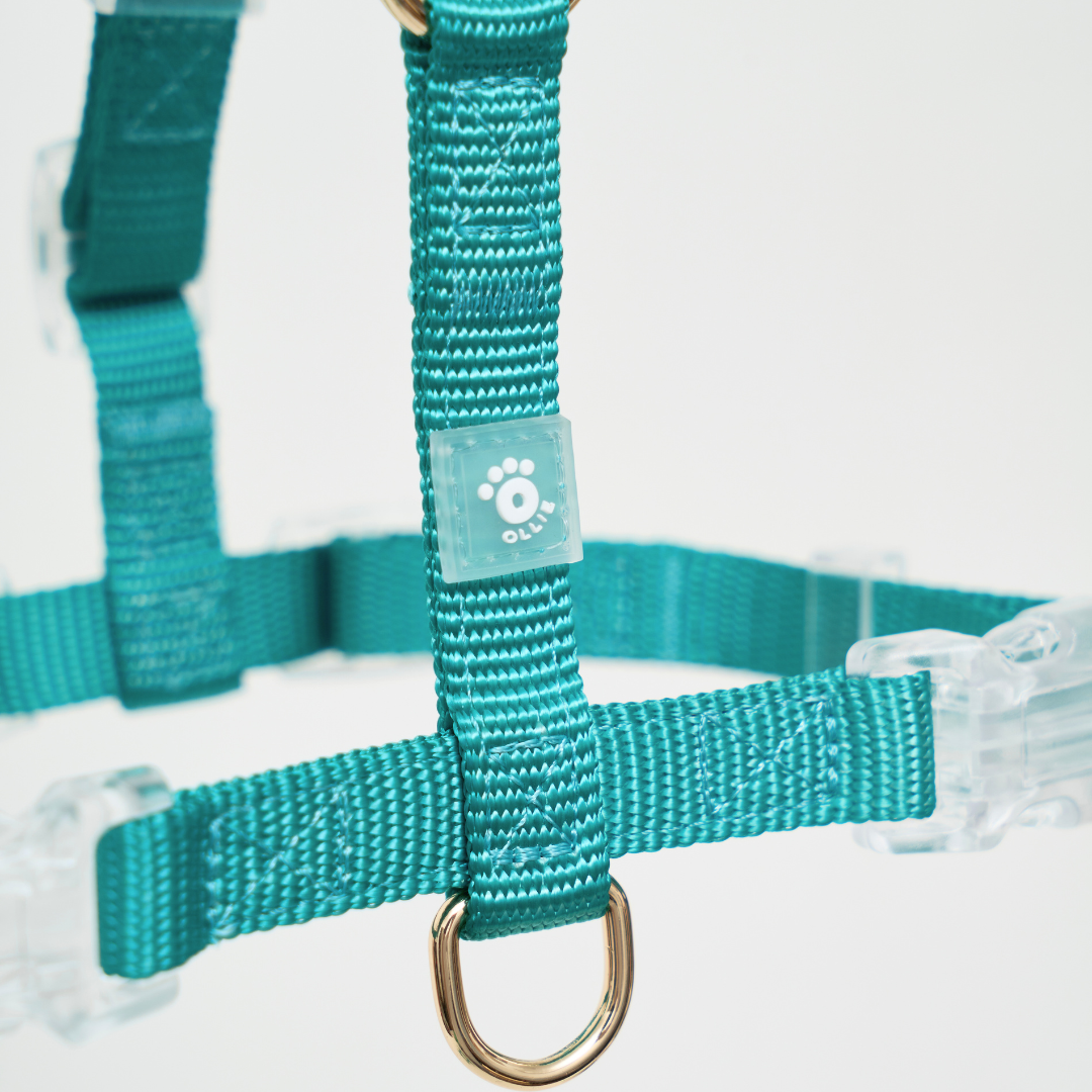 Ollie Walkies: Aero Paw - Emerald (Harness)