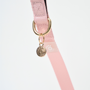 Ollie Walkies: Aero Paw - Collar and Leash  - Rose Quartz