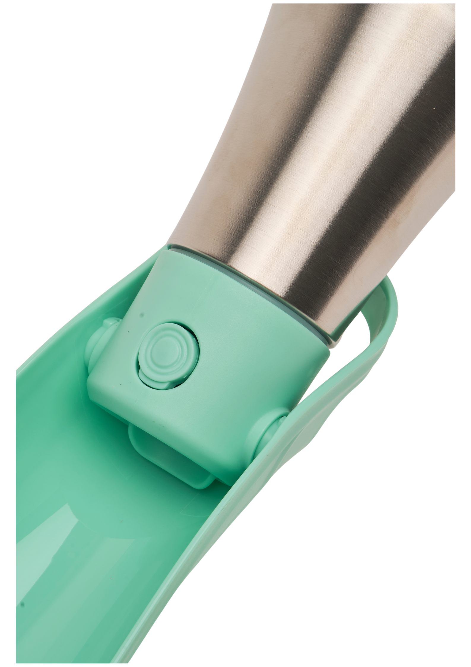 Ollie Dog Water Bottle: Green