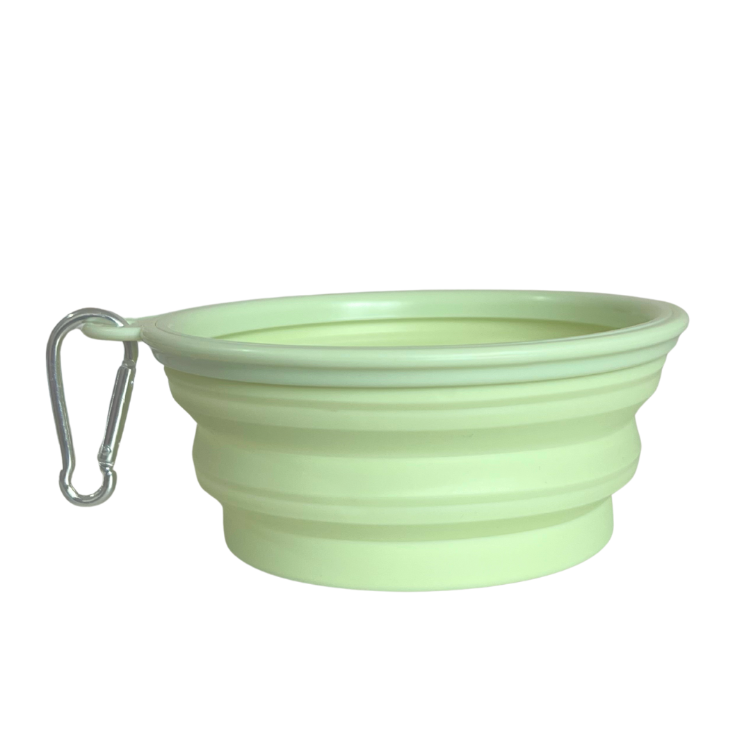 Ollie: Pop-Up Bowl