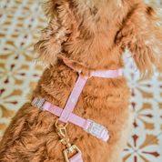 Ollie Walkies: Aero Paw - Rose Quartz (Harness)