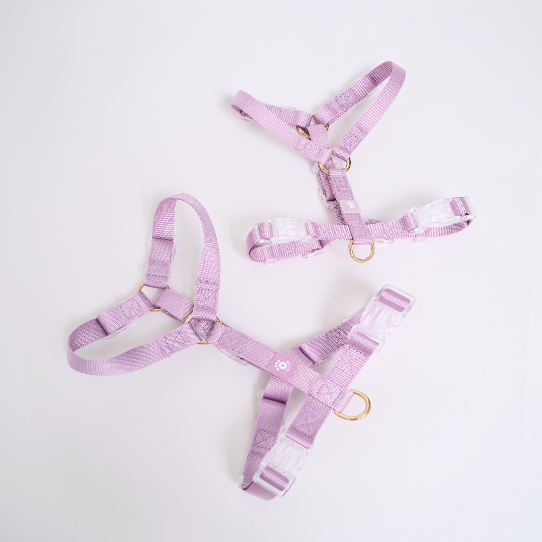 Ollie Walkies: Aero Paw - Full Set - Small -  Amethyst