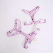 Ollie Walkies: Aero Paw - Harness and Leash Set - Amethyst