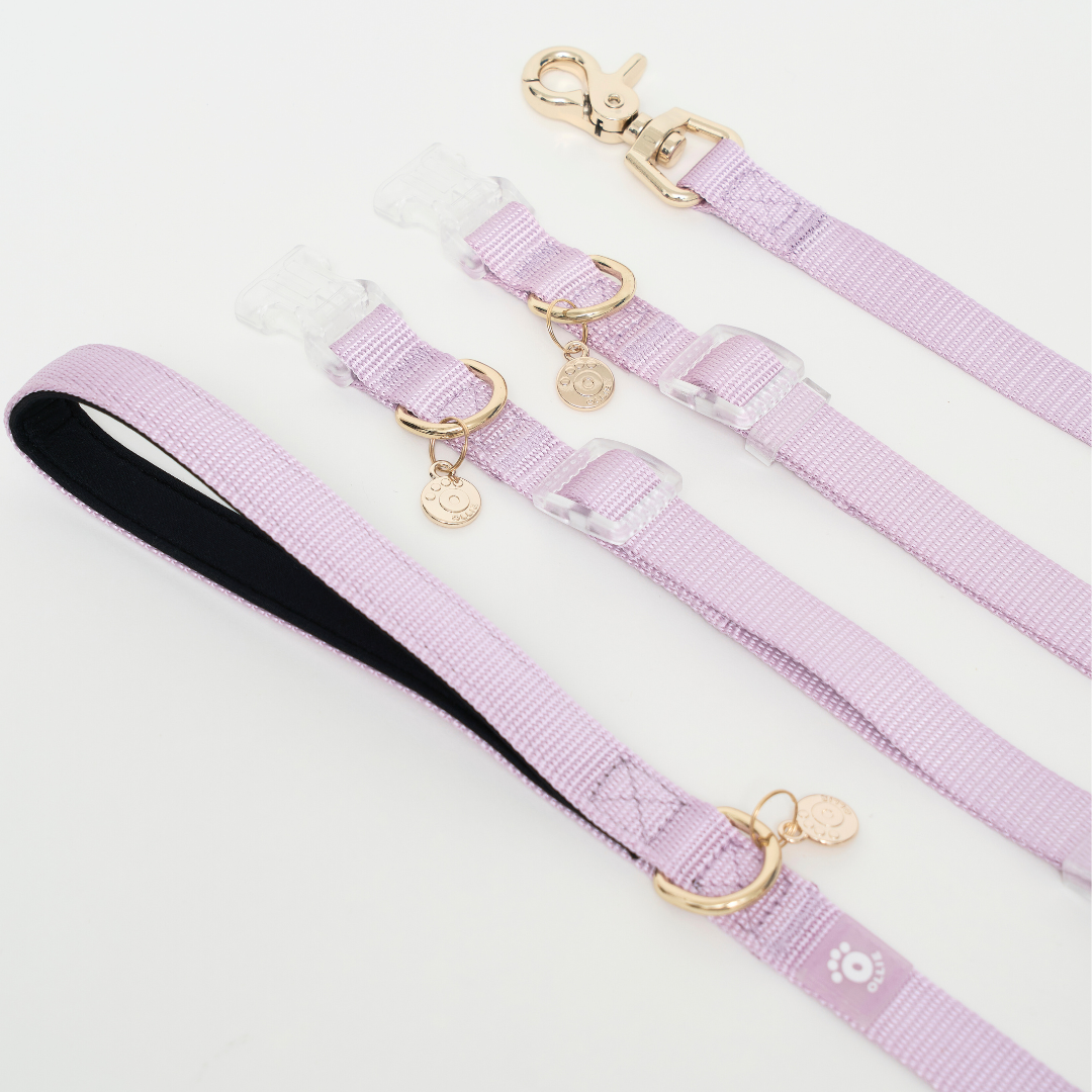 Ollie Walkies: Aero Paw - Amethyst (Collar)