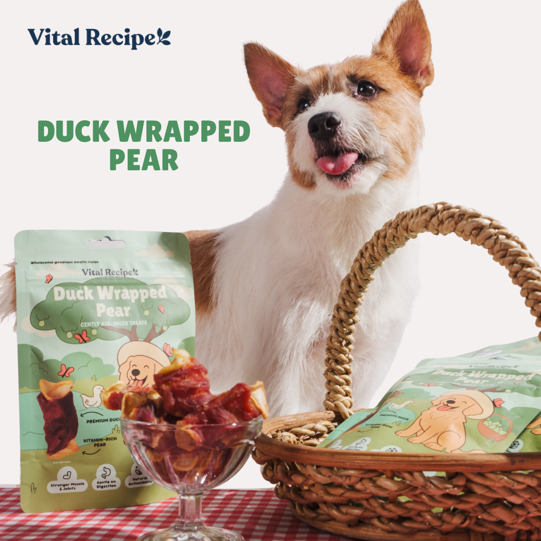 Vital Recipe - Duck Wrapped Pear