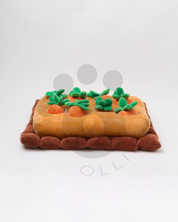 Carrot Garden - Toy