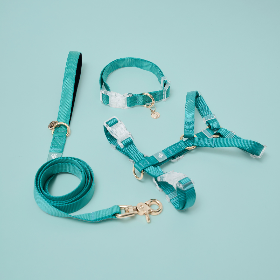 Ollie Walkies: Aero Paw - Full Set - Small -  Emerald