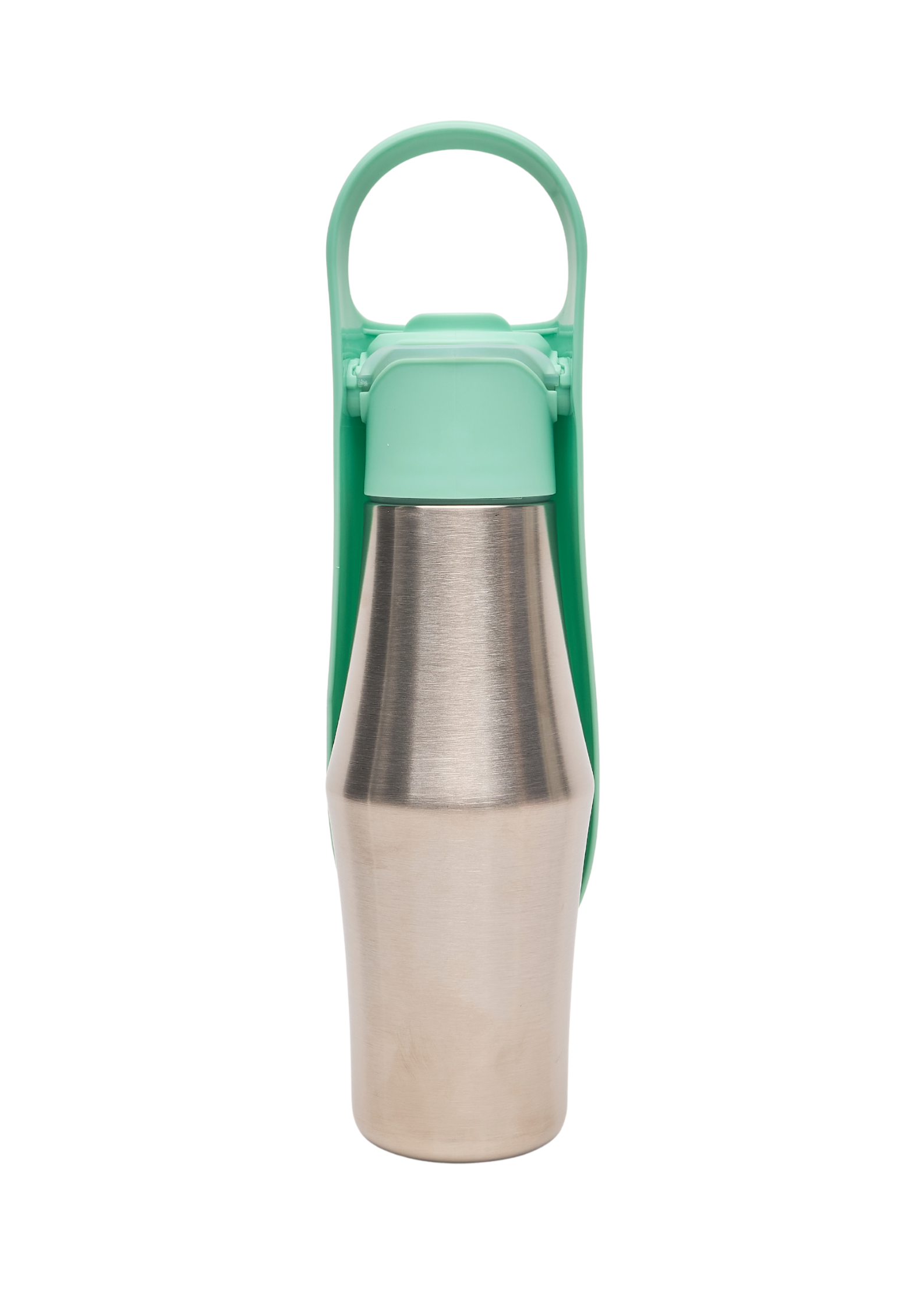 Ollie Dog Water Bottle: Green