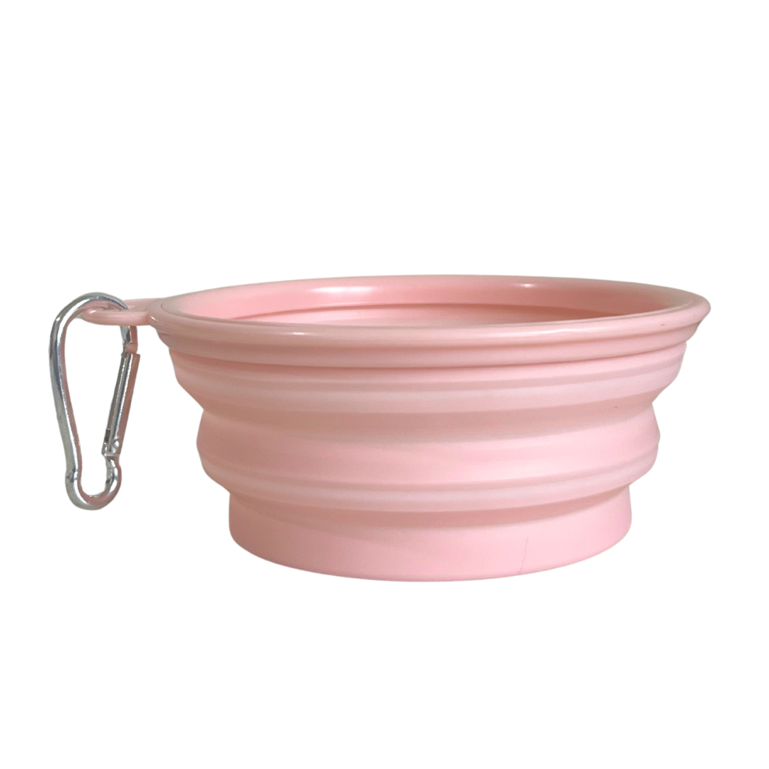 Ollie: Pop-Up Bowl