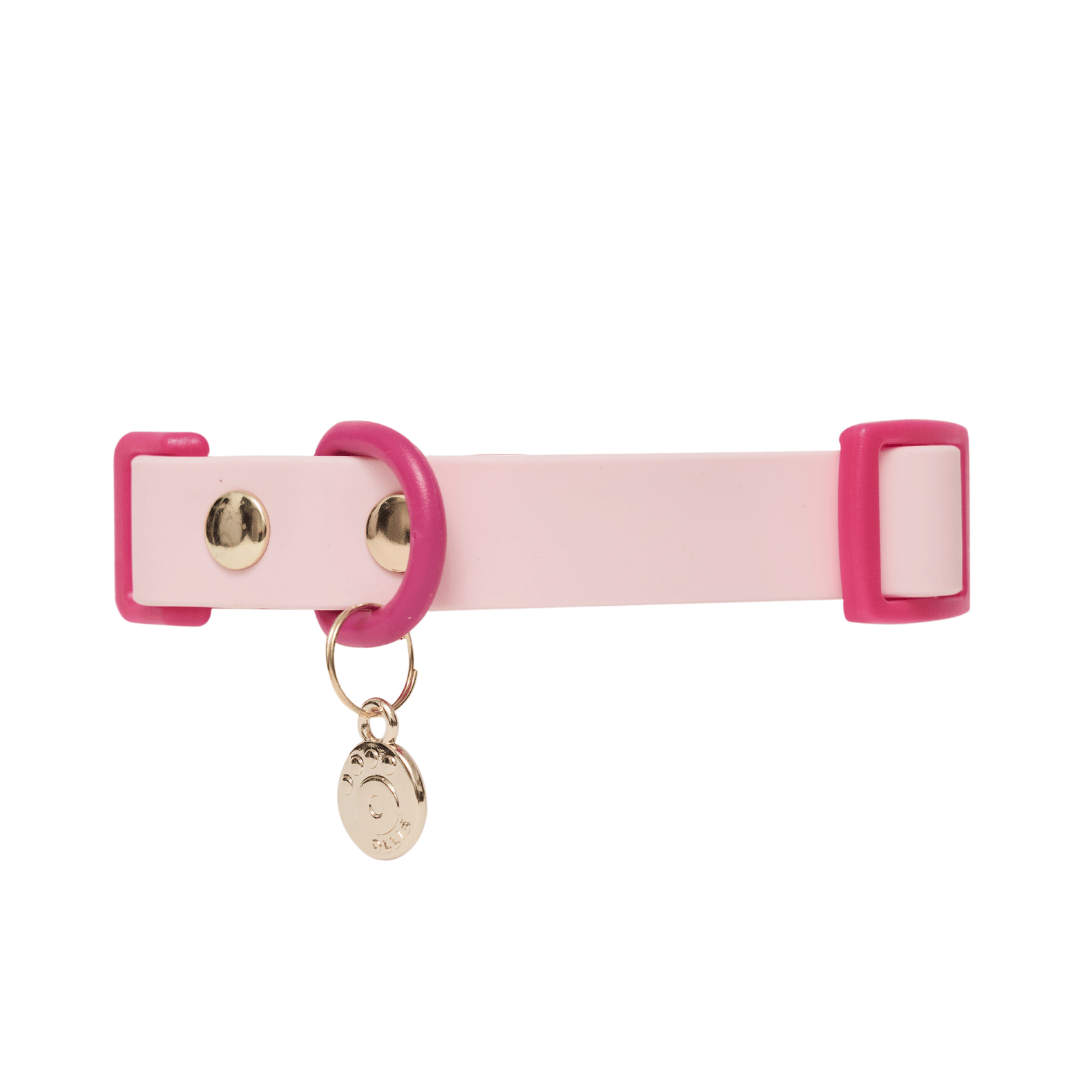 Ollie Walkies: Classic - Hot Pink (Collar)