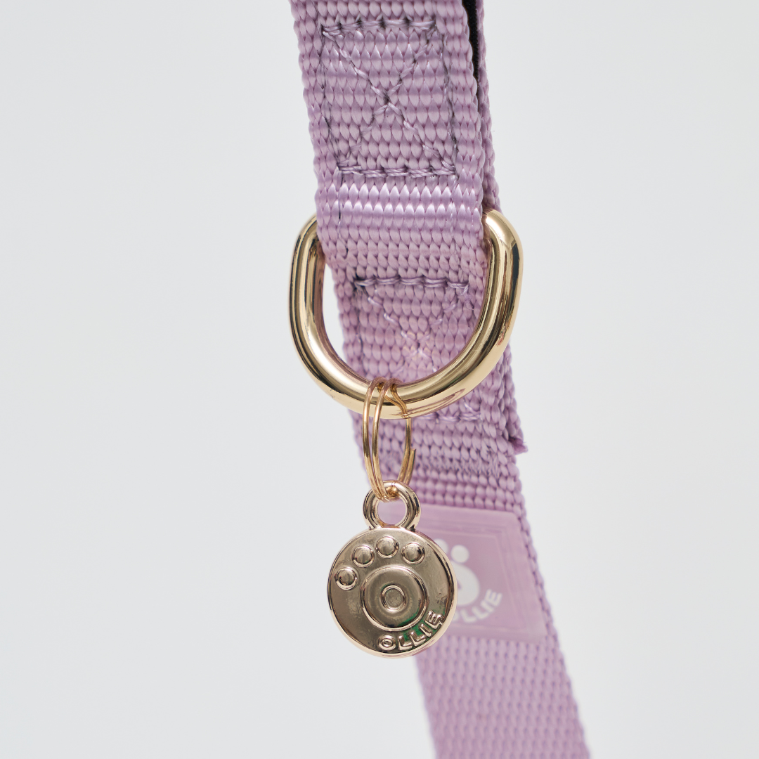 Ollie Walkies: Aero Paw - Amethyst (Leash)