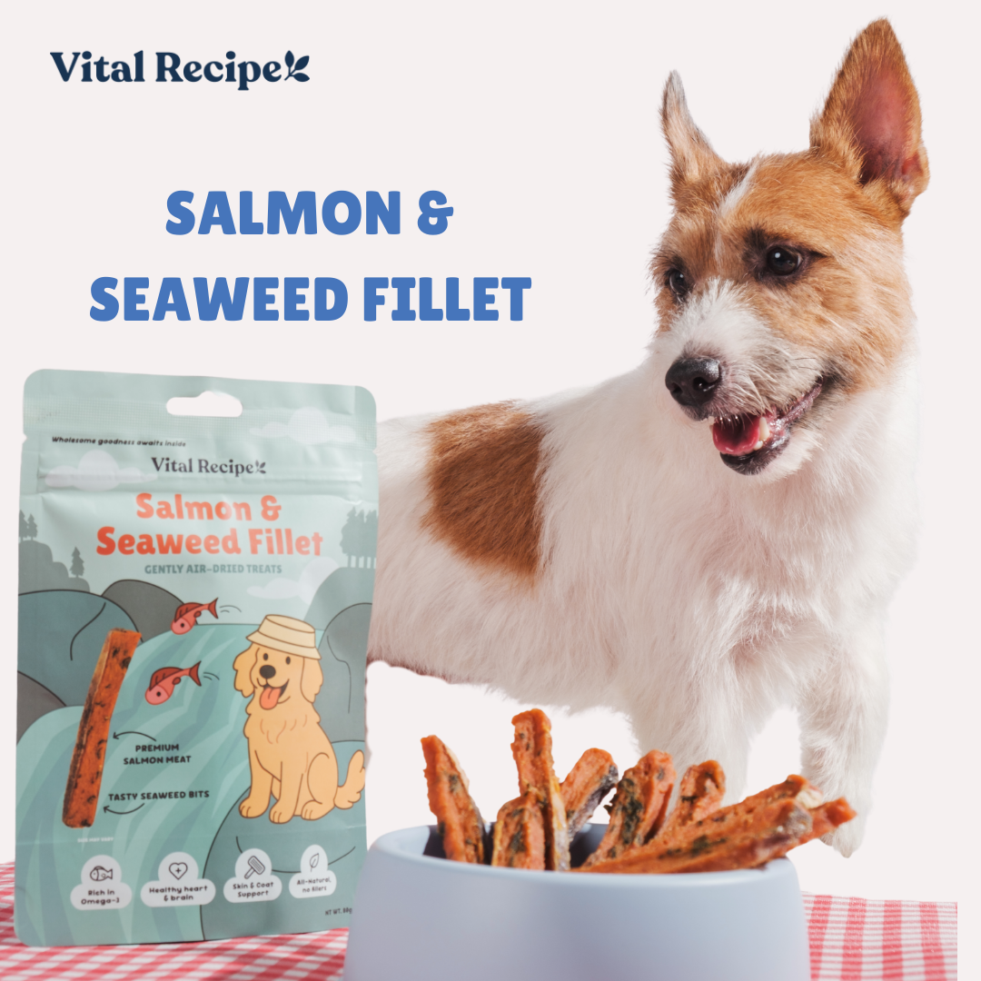 Vital Recipe - Salmon and Seaweed