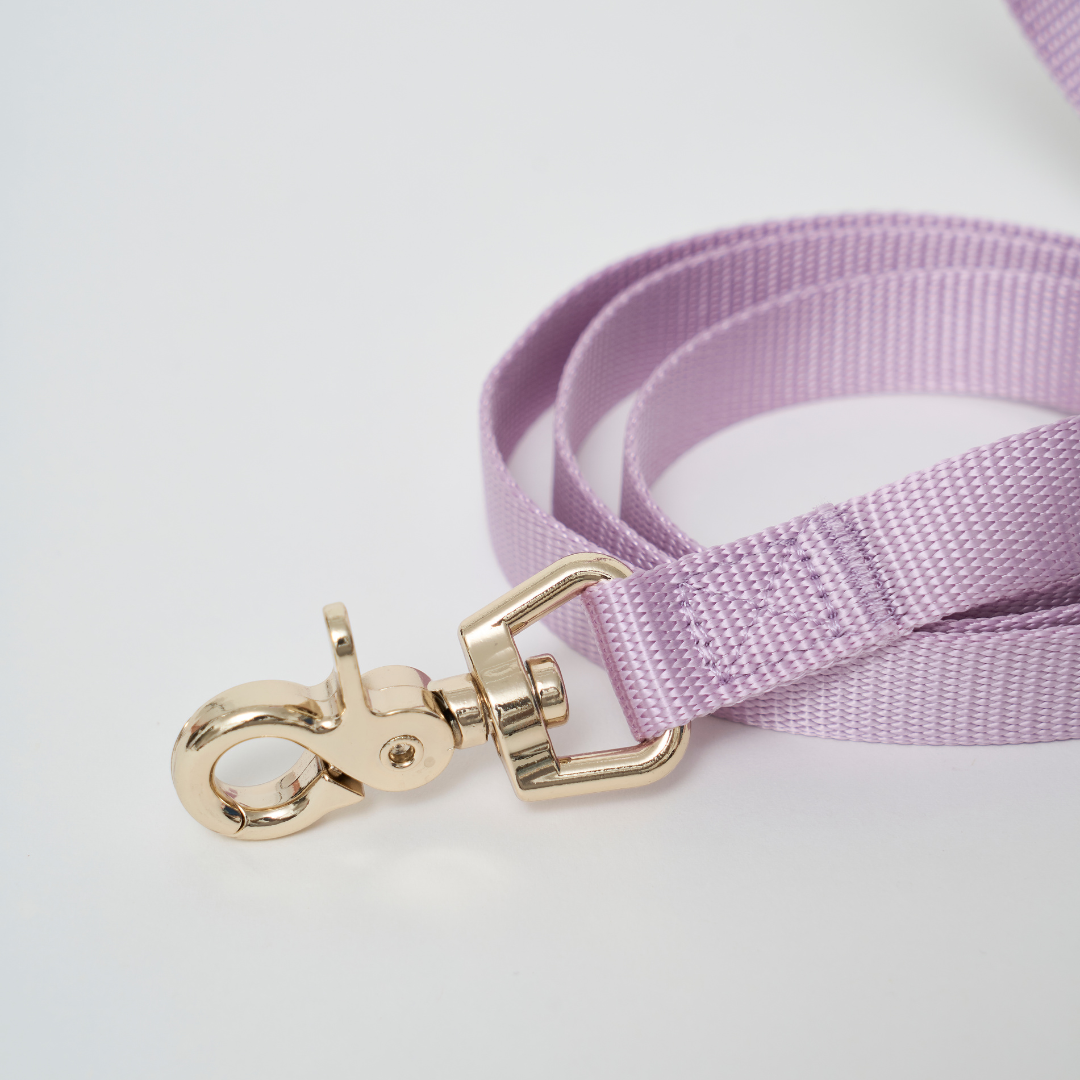 Ollie Walkies: Aero Paw - Amethyst (Leash)