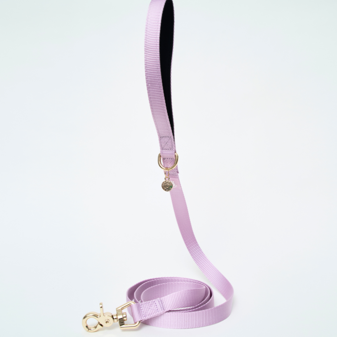 Ollie Walkies: Aero Paw - Amethyst (Leash)