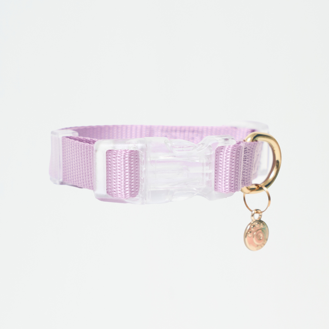 Ollie Walkies: Aero Paw - Amethyst (Collar)