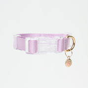 Ollie Walkies: Aero Paw - Amethyst (Collar)