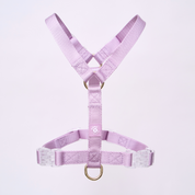 Ollie Walkies: Aero Paw - Amethyst (Harness)