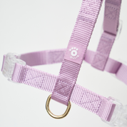 Ollie Walkies: Aero Paw - Amethyst (Harness)