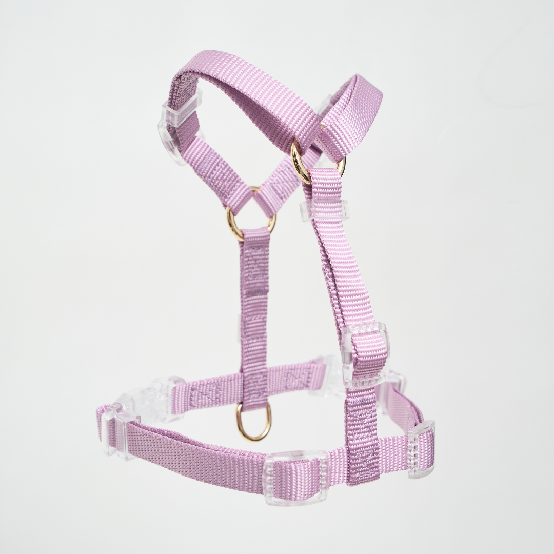 Ollie Walkies: Aero Paw - Amethyst (Harness)