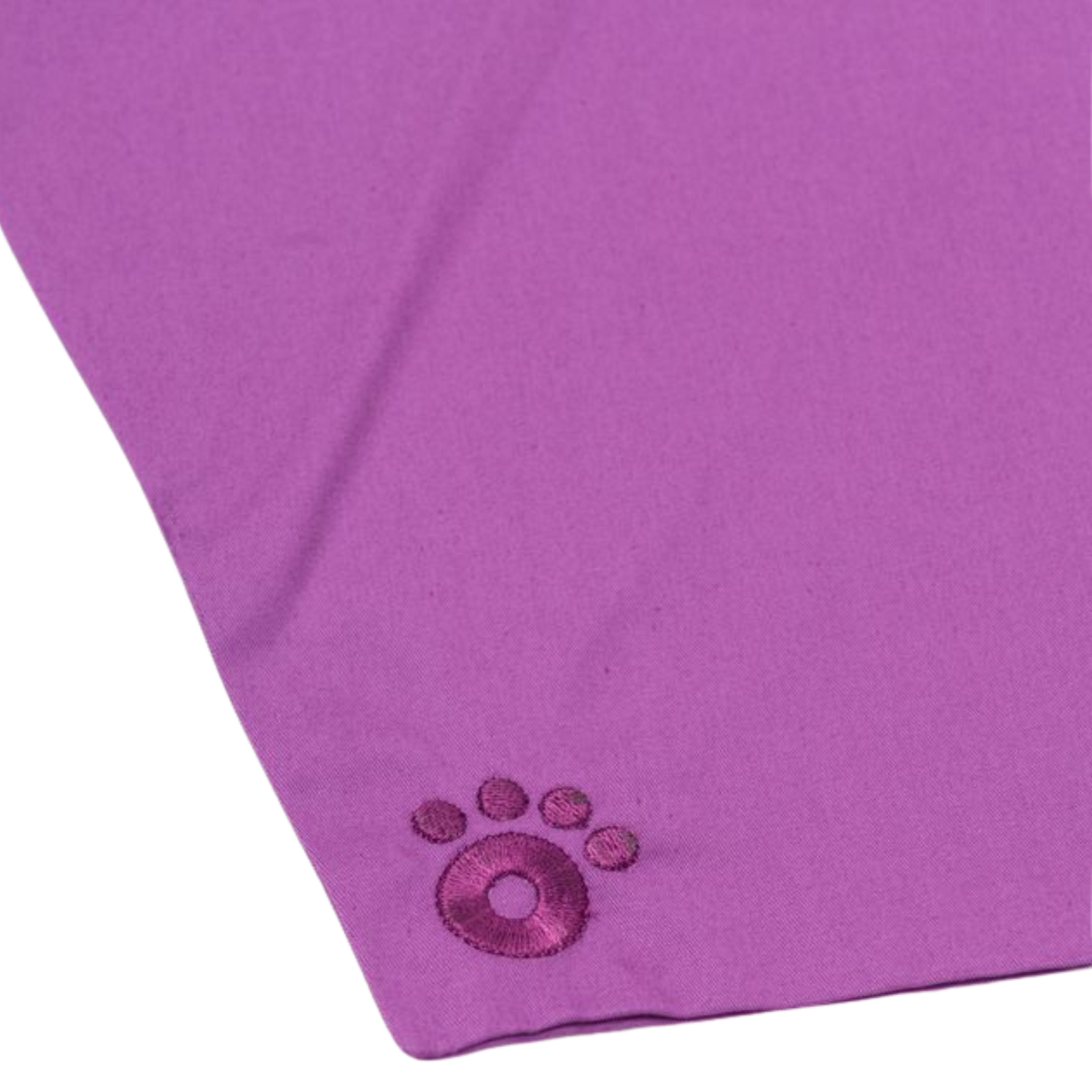Ollie Bandana: Violet