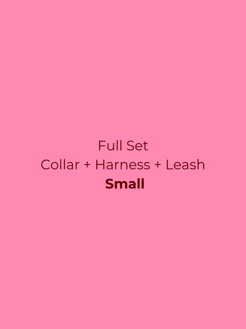 Ollie Walkies Classic - SMALL  - Full Set (Collar, Harness and Leash Set): Watermelon
