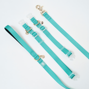 Ollie Walkies: Aero Paw - Collar and Leash  - Emerald