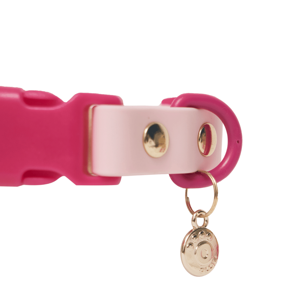 Ollie Walkies: Classic - Hot Pink (Collar)