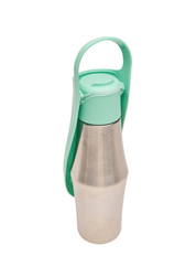 Ollie Dog Water Bottle: Green